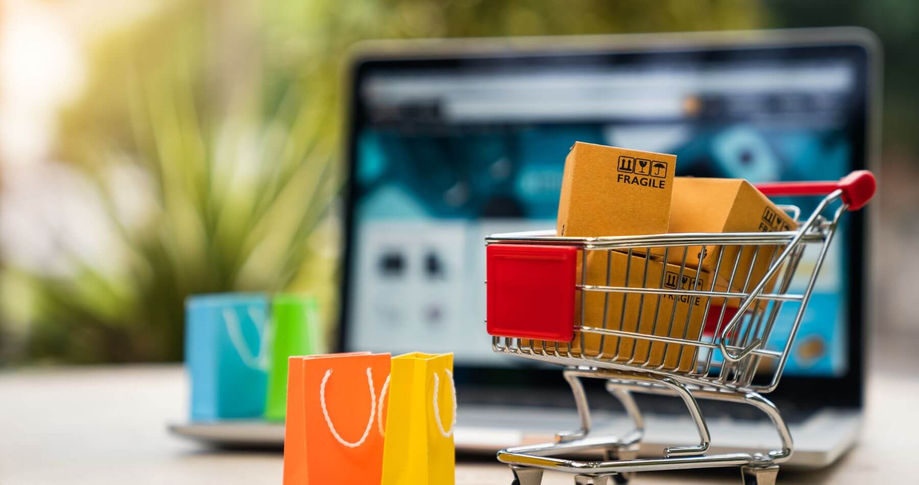 Entdecken Sie Online-Shop-Lösungen in Emmen